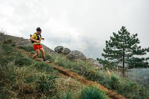 BIB: 
                            <button type="button" onclick="openModal(26006267)" class="btn btn-primary btn-sm float-right btn-popup" data-toggle="modal" data-target=".modal-high-quality">
                        <i class="fas fa-shopping-cart"></i> Add to Cart
                    </button>
                                            <button type="button" onclick="isThisMe(26006267, true)" class="btn btn-success btn-sm float-right btn-popup btn-isme hidden" data-toggle="tooltip" data-placement="bottom" title="นี่คือรูปของคุณใช่ไหม คลิกที่นี่เพื่อเอาเข้าอัลบั้ม">
                        <i class="fas fa-plus"></i> Add to album
                    </button>
                    <button type="button" onclick="isThisMe(26006267, false)" class="btn btn-warning btn-sm float-right btn-popup btn-isnotme hidden">
                        <i class="fas fa-ban"></i> Remove from album
                    </button>